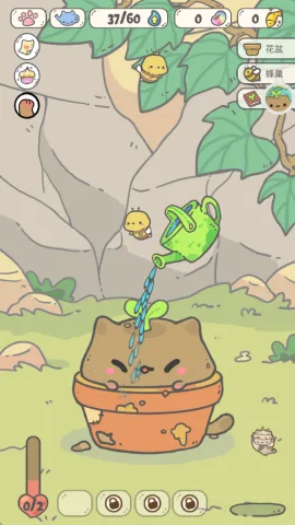 ��è��������(èèֲ��������Ϸ)