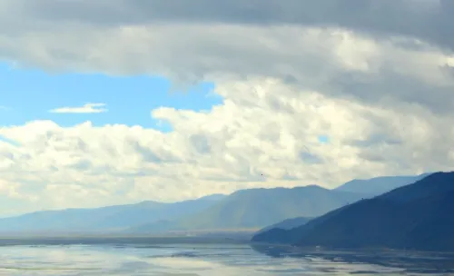 dazzרҵ��Ӱ�������ֻ���