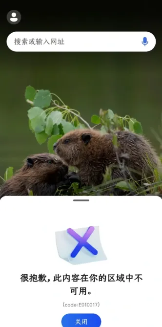 bing����(������������)