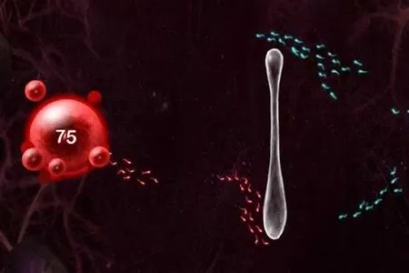 ��ֳս��22025���ذ�װ