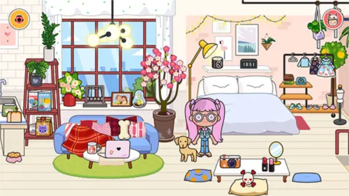 �׼�С���̵�2026�ٷ����°汾