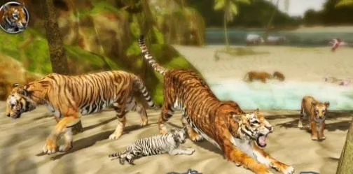 �ռ��ϻ�ģ����22026�ٷ�����