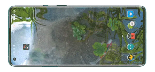 ��ض�̬��ֽ