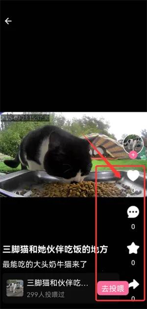 ;è2026���°汾