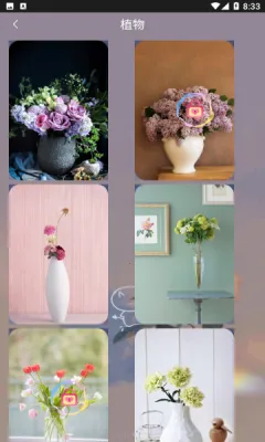 Ԫ���ɰ���ֽ2026���ذ�װ