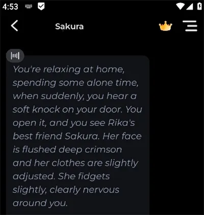 RoleMaster AI����2026�ٷ�����