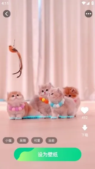 �����ֽ������׿���ֻ���