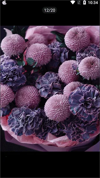 ��ѡ�ʻ�2026���ذ�װ