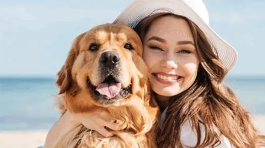 �������2026���ذ�װ