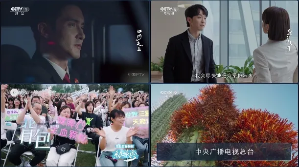 С�ɵ���app����