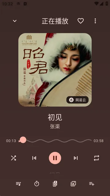 ��������!(NeriPlayer)