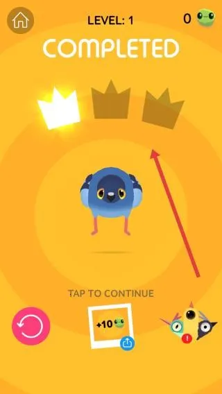 pigeonpop2026�ٷ�����