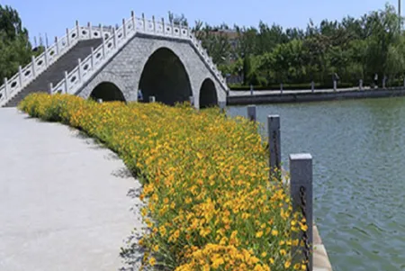 ����ɽ��