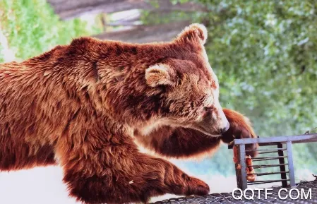 �й�����԰Э��