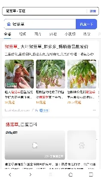 �쿴�����