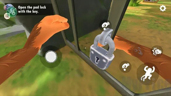 ����һֻ���ƽ��