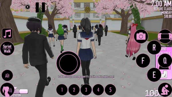 ����ģ�������İ��������