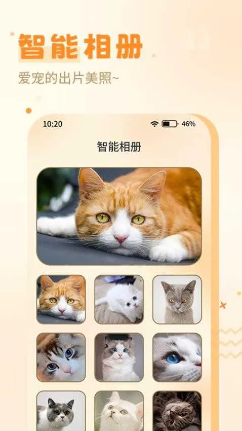 ����è��2026�ٷ����°汾