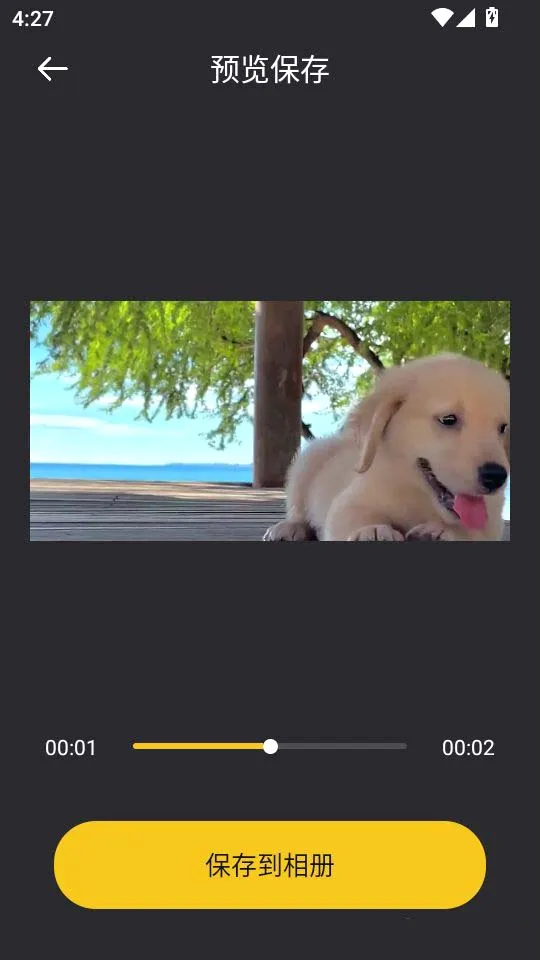 音范丝4k(高清影视播放软件)