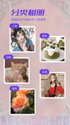 ˽���ಾ2026�ٷ����°汾