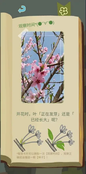 ��ũ�����������������ֻ���