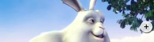 mx���������Ӱ�