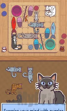 ���׶������ֻ���