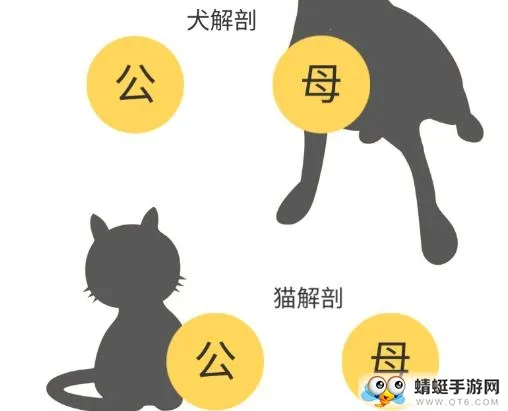 3dbody�����ƽ��