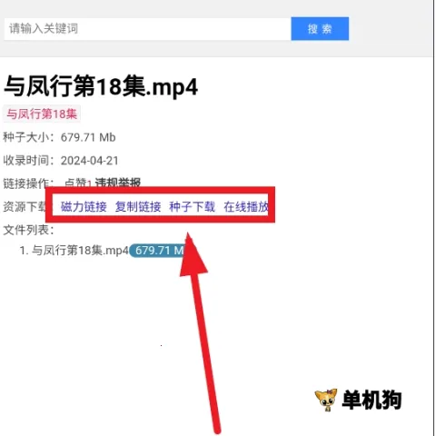 ����������2026�ٷ�����