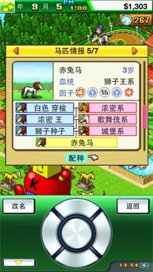 ������������