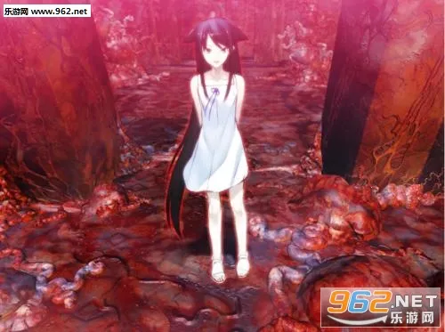 ɳҮ֮��2026�ٷ�����