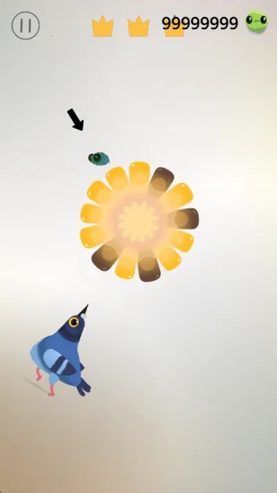 pigeon疯狂的鸽子 pigeon疯狂的鸽子