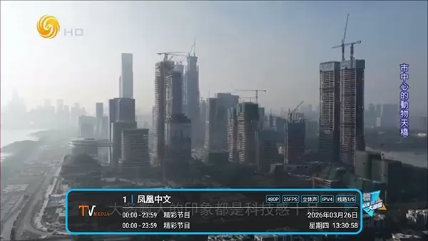 低调TV电视2026官方正版 低调TV电视2026官方正版