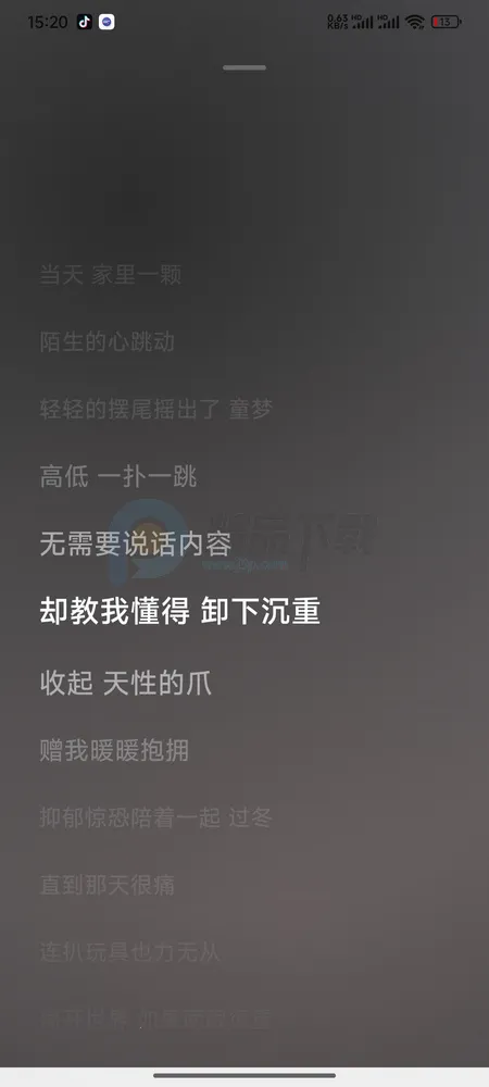 饼音音乐(本地音乐播放器) 饼音音乐(本地音乐播放器)