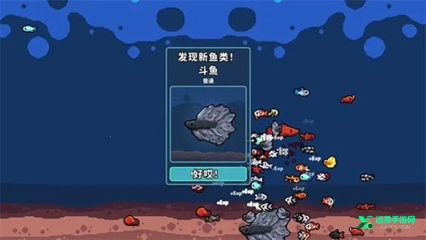 ����ˮ������޻��������ֻ���