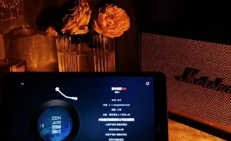 云音乐2026官方最新版本 云音乐2026官方最新版本