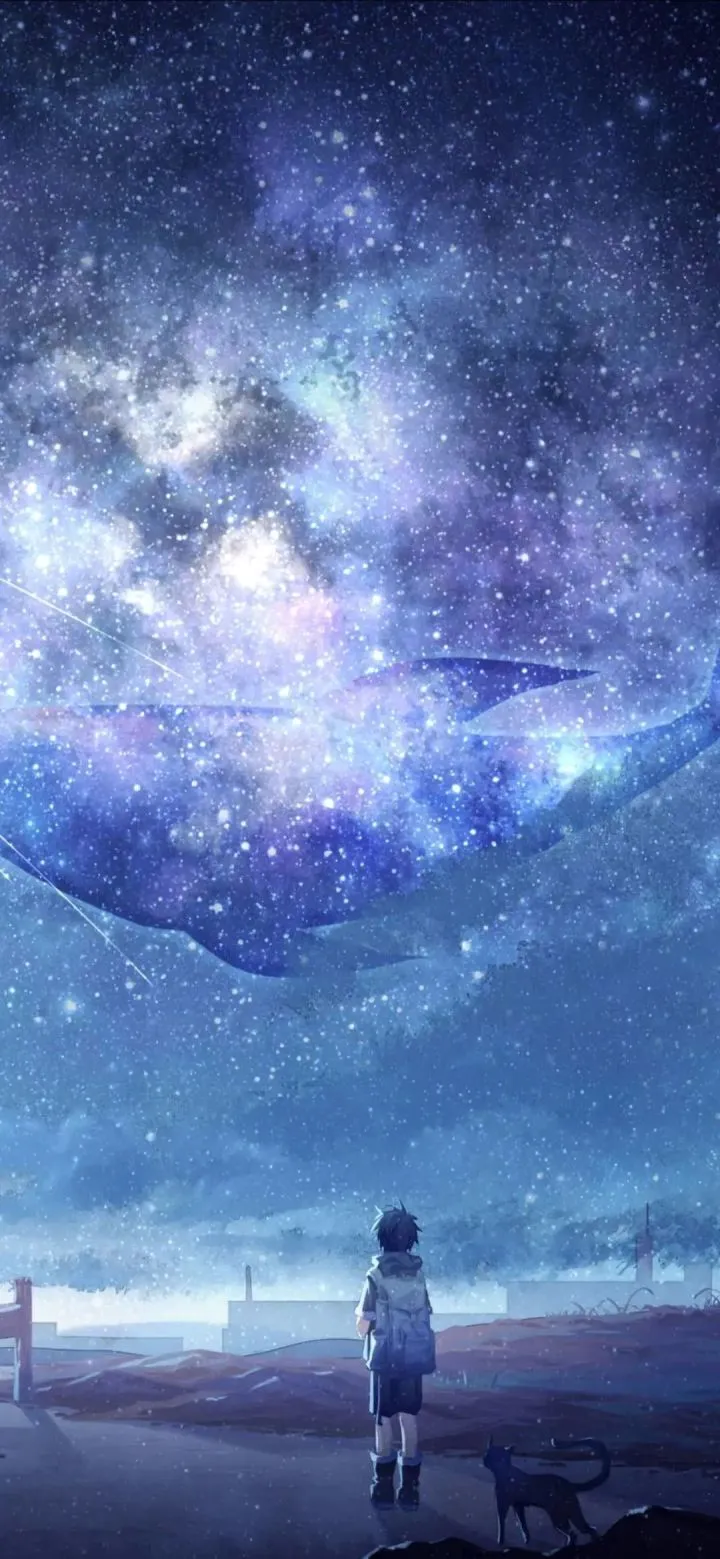 星空壁纸精灵(壁纸美化软件) 星空壁纸精灵(壁纸美化软件)