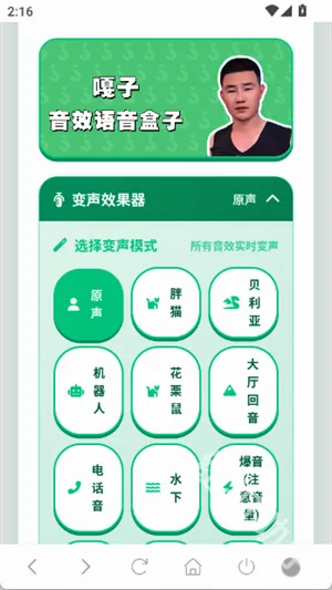 嘎子语音盒(嘎子游戏语音工具) 嘎子语音盒(嘎子游戏语音工具)