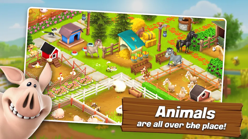 Hay Day(农场模拟游戏) Hay Day(农场模拟游戏)