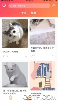 团纸日记(生活记录软件) 团纸日记(生活记录软件)