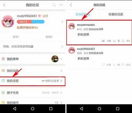波奇宠物2026最新版本 波奇宠物2026最新版本