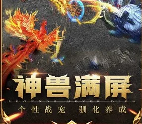 超变风云(传奇手游) 超变风云(传奇手游)