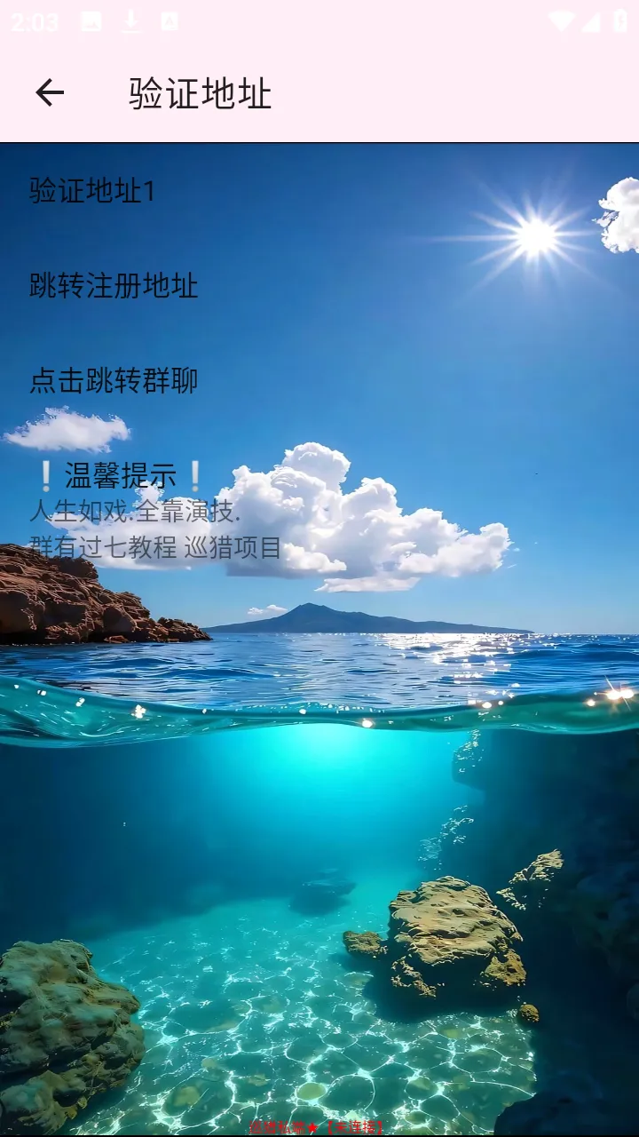 巡猎私端(手游网络优化工具) 巡猎私端(手游网络优化工具)