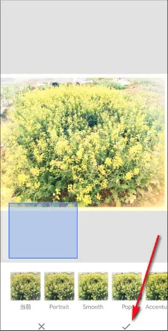 BetterSeed(专业修图软件) BetterSeed(专业修图软件)